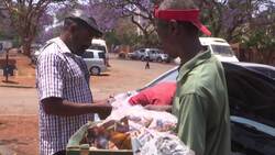 Zimbabwe struggles with hyperinflation Instructional Video