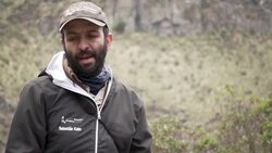 VOICED : Una pareja entregada a su nido, la carta de salvación de los cóndores andinos News Clip