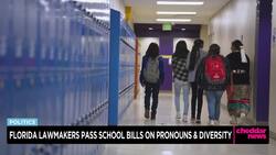 Florida Republicans Pass School Bills on Pronouns, Diversity News Clip