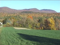 Fall: What Happens in Fall? Instructional Video