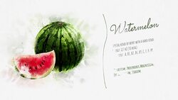 Animated information about the Watermelon Stock Footage