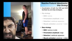 RPAs EXPLAINED [Part 3] | Step & Suspensory Strategies Instructional Video