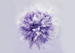 Spontaneous Instructional Video