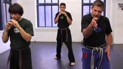 How to Do a Round Kick in Krav Maga Instructional Video