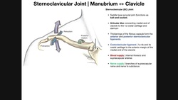 The Sternoclavicular (SC) Joint | Anatomy and Function Instructional Video