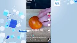 Albania to ban TikTok for one year, blaming it for inciting youth violence and bullying News Clip