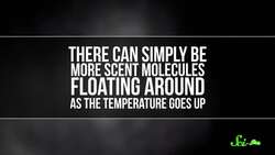 Why Does Everything Stink Less in Winter? Instructional Video