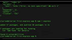 Express Framework Mastery: From Beginner to Advanced with Node.js - What Is NPM Node Package Manager and How to Install Express Instructional Video