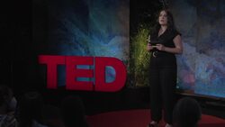 TED: The problem with plastics -- and how they're changing the environment | Patricia Villarrubia-Gómez Instructional Video