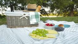 Picnic at the park. Stock Footage