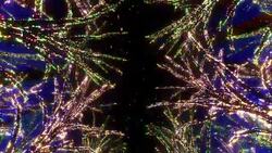 Neon Tree illumination Stock Footage