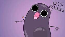 Endocrine System Instructional Video