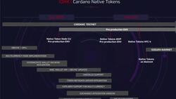 Cardano (ADA) Review Instructional Video