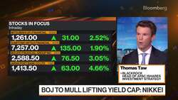 Blackrock's Taw on Investment Strategy News Clip