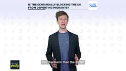 Fact check: Is the ECHR really blocking the UK from deporting migrants? Instructional Video