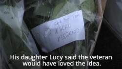 'Legacy forest' to be planted in memory of Captain Sir Tom Moore News Clip