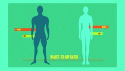 Why Sexy Is Sexy Instructional Video