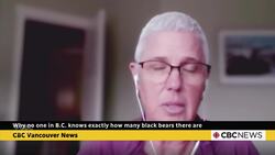Why no one in B.C. knows exactly how many black bears there are News Clip