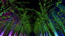 Neon Tree illumination Stock Footage