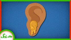 The Secrets Hidden in Your Tears, Earwax, and Other Secretions Instructional Video