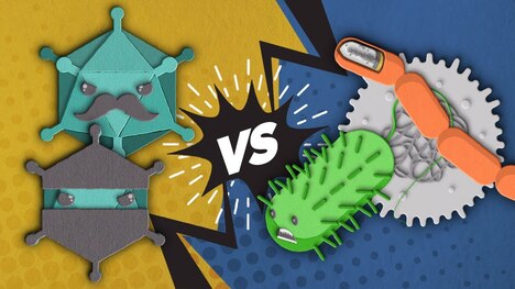Viruses vs Bacteria: What's the difference