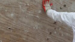 Beauregard residents count cost of deadly tornado Instructional Video