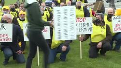 CLEAN : Farmers protest in Paris against agricultural 'distress' News Clip