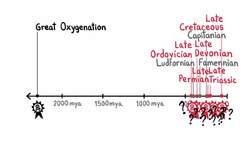 How Many Mass Extinctions Have There Been? Instructional Video