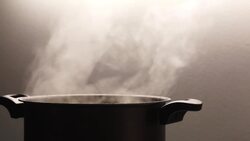 Cooking Techniques and History Instructional Video