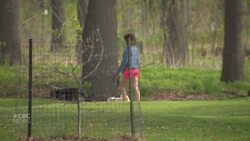 A new study provides evidence and hope for cancer patients News Clip