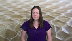 Understanding Snake Life Cycles: From Birth to Adulthood Instructional Video