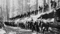 Study the Scientist: Fire Archeologist Instructional Video