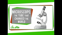 Microscope: The Tube That Changed the World Instructional Video