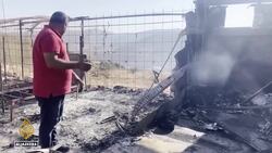 Palestinian agriculture destroyed: Israeli army uproots 3,100 trees to 'improve defence' News Clip