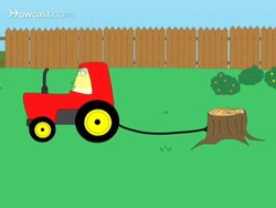 How to Deal with Termites Instructional Video