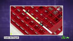 What Does My Pee Say About Me? Instructional Video