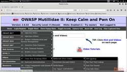 Bug Bounty Program Certification 9.3: Non-persistent Attack on Websites Frontend Instructional Video
