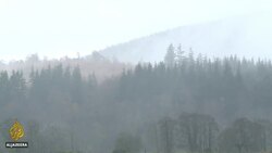 UK election: Tories fight for survival in Scotland News Clip