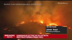 Hawaiian Electric in Talks With Restructuring Firms: WSJ News Clip