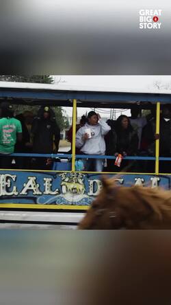 Hip-Hop and Horses Instructional Video