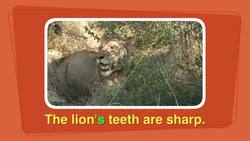 Grammar In Action: Nouns, Plural Nouns and Possessive Nouns Instructional Video