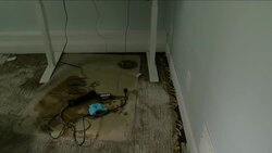 Are you prepared for a natural disaster? Do these things now News Clip