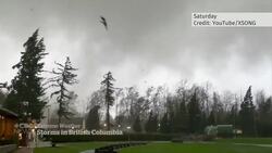 Extreme weather wallops B.C. with heavy rain, strong wind and a tornado News Clip