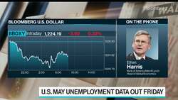 BofAML's Harris Says Unemployment Rate Will Hit 19% News Clip