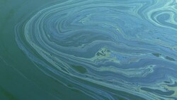 oil slick on the sea surface Stock Footage