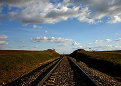 Curious Case of Phineas Gage Instructional Video