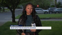 Bear sighting leads to cancellation of some outdoor school activities in Essex County News Clip