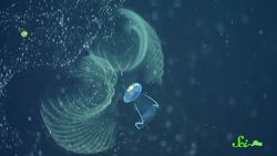 The Most Incredible Snowfall on Earth Occurs Deep Underwater Instructional Video