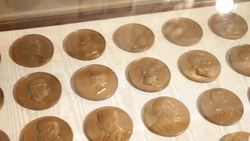 This museum has some amazing collections Instructional Video