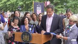 NY Gov. signs equal pay bill into law News Clip